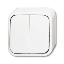 Busch-Jaeger Serienschalter 2601/5 AP/11W-503...