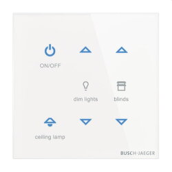 Busch-Jaeger Bedienelement TB/U6-CG 6f.