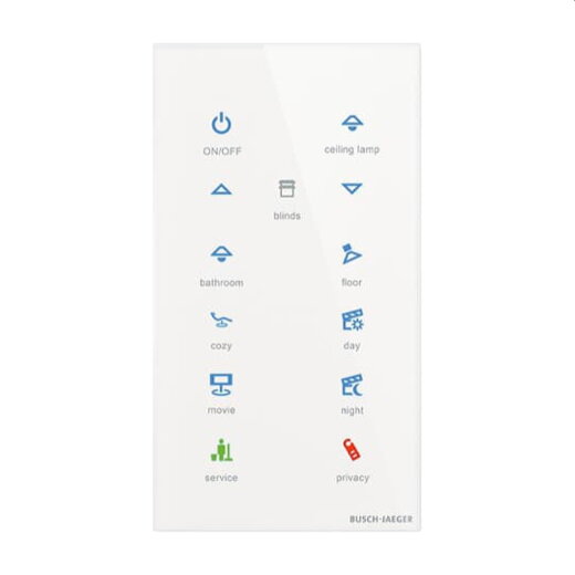 Busch-Jaeger Bedienelement TB/U12-CG 12f.