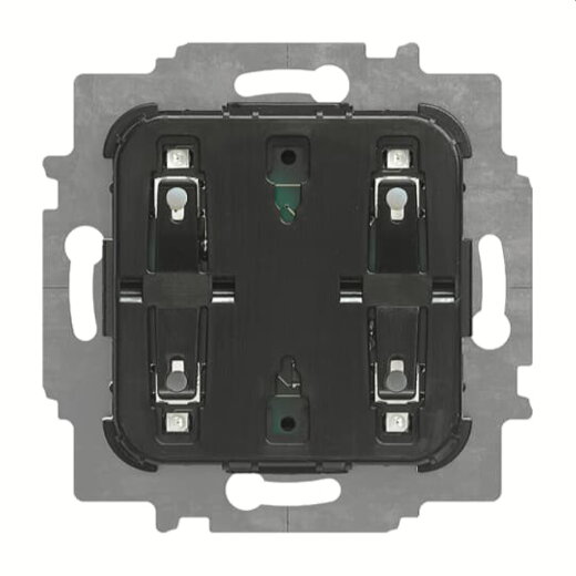 Busch-Jaeger Taster 2052 U Elektronik 2-f.U