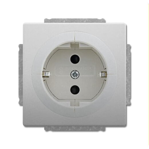 Busch-Jaeger Steckdose 20 EUAB-866 Edelstahl