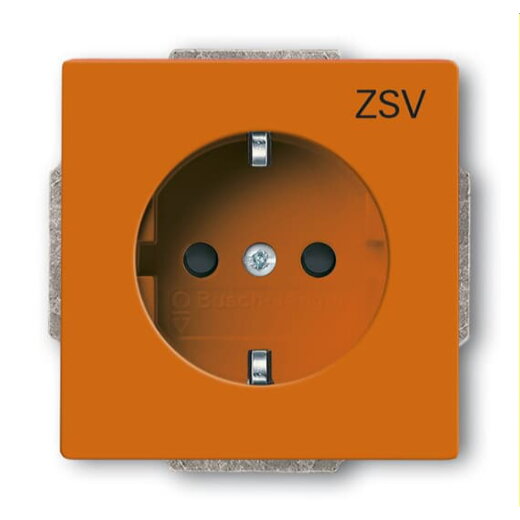 Busch-Jaeger SCHUKO-Steckdoseneinsatz 20 EUCB-14-82-10 or ZVS or RAL2004