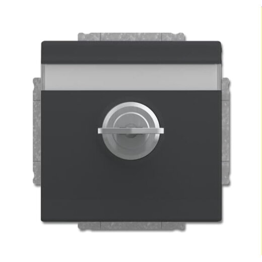 Busch-Jaeger Steckdoseneinsatz 20 EUKNBSL-81 anthrazit