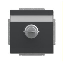 Busch-Jaeger Steckdoseneinsatz 20 EUKNBSL-81 anthrazit