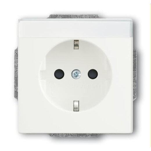Busch-Jaeger SCHUKO-Steckdoseneinsatz 20 EUCNB-884 studioweiß matt