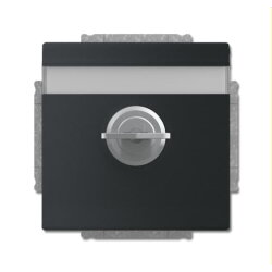 Busch-Jaeger Steckdoseneinsatz 20 EUKNBSL-885-101 schwarz...