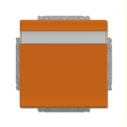 Busch-Jaeger Steckdoseneinsatz 20 EUKNB-14-82 orange RAL...