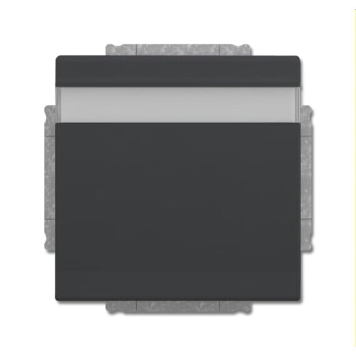 Busch-Jaeger Steckdoseneinsatz 20 EUKNB-81 anthrazit