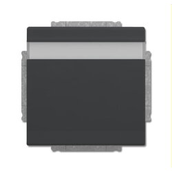 Busch-Jaeger Steckdoseneinsatz 20 EUKNB-81 anthrazit