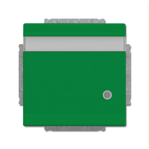 Busch-Jaeger Steckdoseneinsatz 20 EUKNBL-13-82 grün RAL 6032