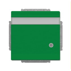 Busch-Jaeger Steckdoseneinsatz 20 EUKNBL-13-82 grün...