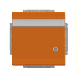 Busch-Jaeger Steckdoseneinsatz 20 EUKNBL-14-82 orange RAL...