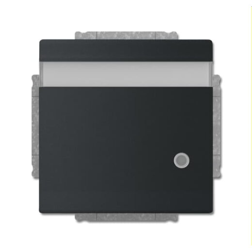 Busch-Jaeger Steckdoseneinsatz 20 EUKNBL-885 schwarz matt