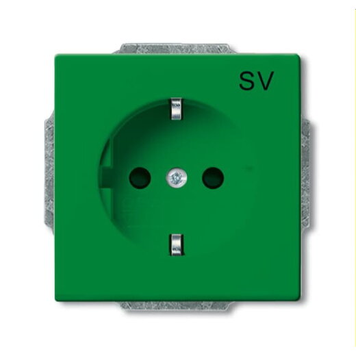 Busch-Jaeger Steckdoseneinsatz 20 EUCB-13-82-102 grün RAL 6032