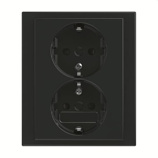 Busch-Jaeger SCHUKO-Doppel-Steckdose 202 EUJB-81 volle Abdeckung anthrazit