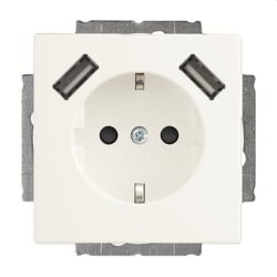 Busch-Jaeger SCHUKO-Doppel-Steckdose 20 EUCB2USB-884 2x...