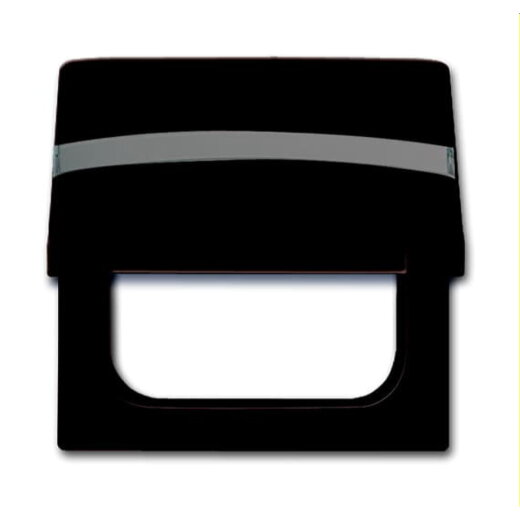 Busch-Jaeger Zwischenring 2118 GKN-31 AW44 braun