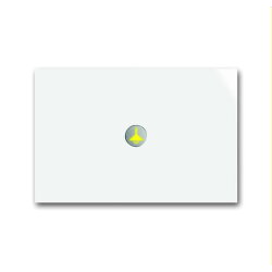 Busch-Jaeger Bedienelement 6340-24G-101 1fach...