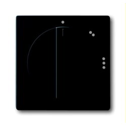 Busch-Jaeger Zentralscheibe 2542 DR/02-885 schwarz matt