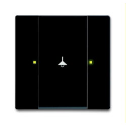 Busch-Jaeger Bedienelement 6125/02-885 1fach schwarz matt