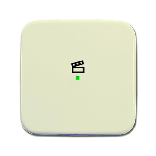 Busch-Jaeger Wippe 6233-10-212 1fach Symbol Szene weiß