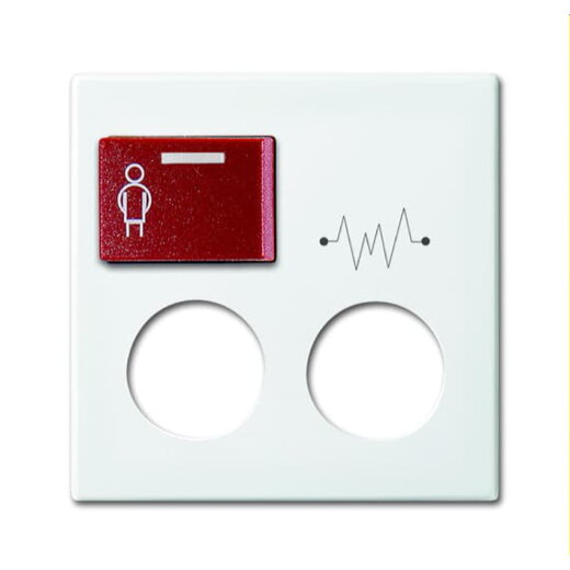 Busch-Jaeger Zentralscheibe 2548-071 D-914 alpinweiß