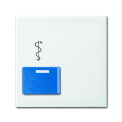 Busch-Jaeger Zentralscheibe 2548-022 AR-914 alpinweiß