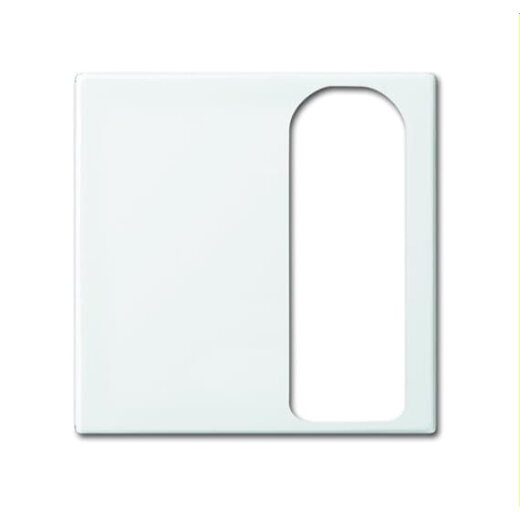 Busch-Jaeger Zentralscheibe 1790-595-914 alpinweiß