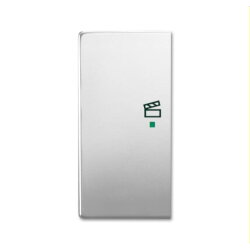 Busch-Jaeger Wippe 6233-21-866 2fach Szene Edelstahl