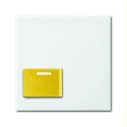 Busch-Jaeger Zentralscheibe 2548-642 D-914 alpinweiß