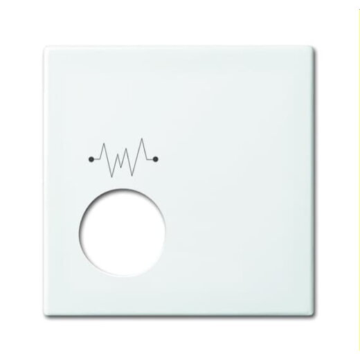 Busch-Jaeger Zentralscheibe 2548-020 F-914 alpinweiß