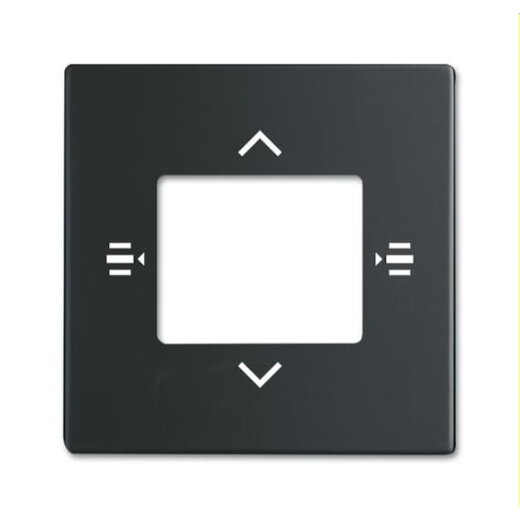 Busch-Jaeger Zentralscheibe 6108/61-885 schwarz matt