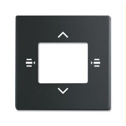 Busch-Jaeger Zentralscheibe 6108/61-885 schwarz matt