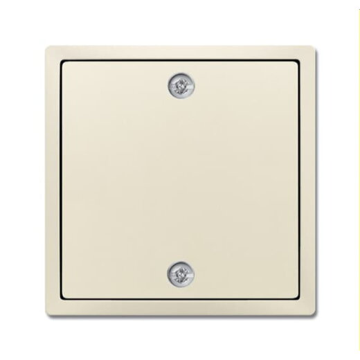 Busch-Jaeger Zentralscheibe 1796-82 für Zugschalter elfenbeinweiß