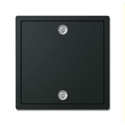 Busch-Jaeger Zentralscheibe 1796-885 für Zugschalter...