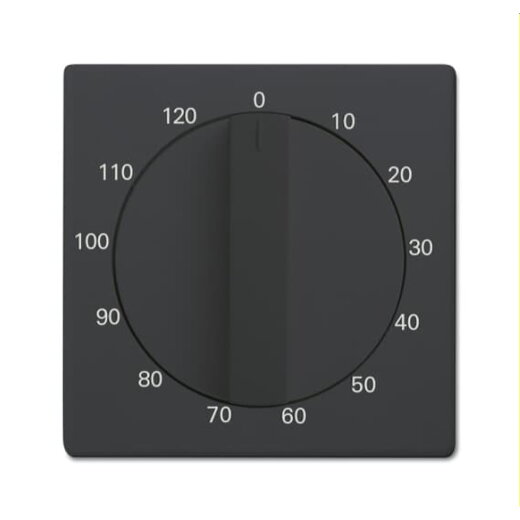 Busch-Jaeger Zentralscheibe 1771-81-103 mit Drehknopf anthrazit