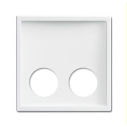 Busch-Jaeger Zentralscheibe 2548-020 D-84 studioweiß