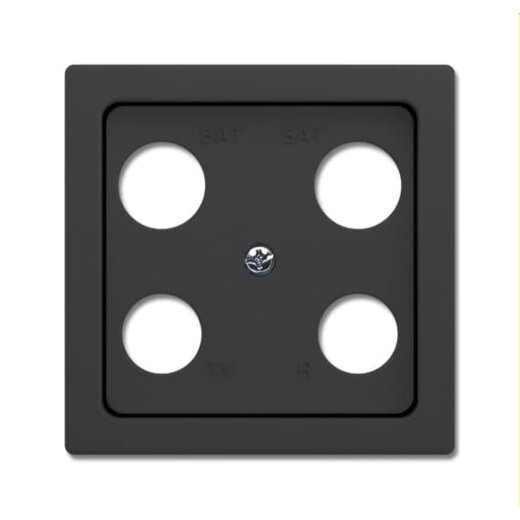 Busch-Jaeger Zentralscheibe 1743-04-81 anthrazit