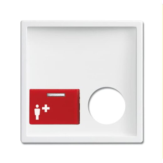 Busch-Jaeger Zentralscheibe 2548-022 B-84 studioweiß