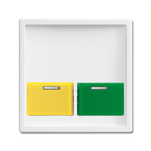 Busch-Jaeger Zentralscheibe 2548-642 E-84 studioweiß