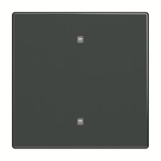 Busch-Jaeger Wippe 2570-10-81 Elektroniktaster