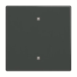 Busch-Jaeger Wippe 2570-10-81 Elektroniktaster