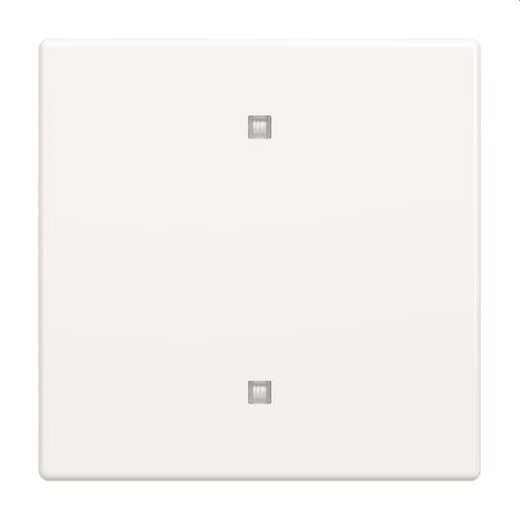 Busch-Jaeger Wippe 2570-10-84 Elektroniktaster