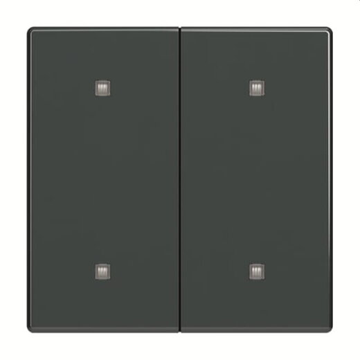 Busch-Jaeger Wippe 2570-20-81 2-f.Elek.taster