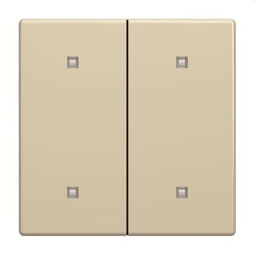 Busch-Jaeger Wippe 2570-20-82 2-f.Elek.taster