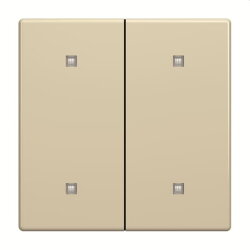 Busch-Jaeger Wippe 2570-20-82 2-f.Elek.taster