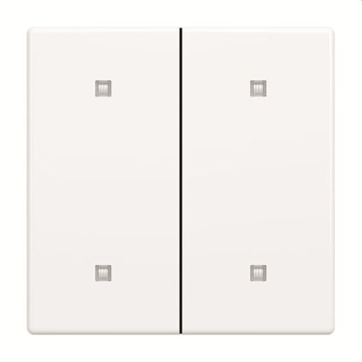 Busch-Jaeger Wippe 2570-20-84 2-f.Elek.taster