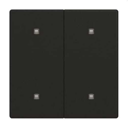 Busch-Jaeger Wippe 2570-20-885 2-f.Elek.taster