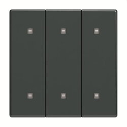 Busch-Jaeger Wippe 2570-30-81 3-fach Elek.taster