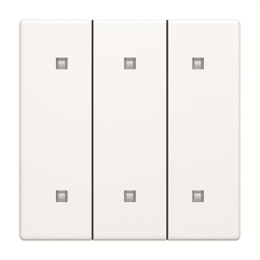 Busch-Jaeger Wippe 2570-30-884 3-fach Elek.taster